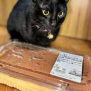 ヒメ日記 2026/02/25 20:00 投稿 かんな 水戸人妻花壇