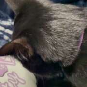 ヒメ日記 2026/02/26 08:36 投稿 かんな 水戸人妻花壇