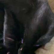 ヒメ日記 2026/02/27 12:15 投稿 かんな 水戸人妻花壇