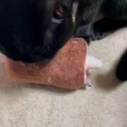 ヒメ日記 2026/02/28 08:12 投稿 かんな 水戸人妻花壇