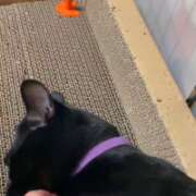 ヒメ日記 2026/03/01 07:06 投稿 かんな 水戸人妻花壇