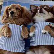 ヒメ日記 2026/03/01 21:12 投稿 かんな 水戸人妻花壇