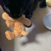 ヒメ日記 2026/03/02 10:11 投稿 かんな 水戸人妻花壇