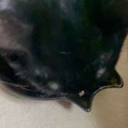 ヒメ日記 2026/03/04 07:27 投稿 かんな 水戸人妻花壇