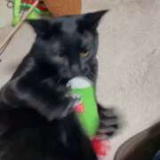 ヒメ日記 2026/04/05 12:12 投稿 かんな 水戸人妻花壇