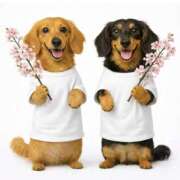 ヒメ日記 2026/04/05 14:14 投稿 かんな 水戸人妻花壇