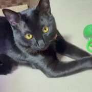 ヒメ日記 2026/04/09 07:41 投稿 かんな 水戸人妻花壇