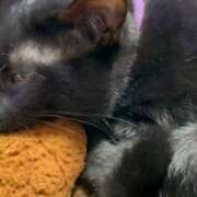 ヒメ日記 2026/04/10 10:10 投稿 かんな 水戸人妻花壇