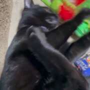 ヒメ日記 2026/04/11 10:12 投稿 かんな 水戸人妻花壇