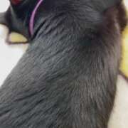 ヒメ日記 2026/04/13 09:19 投稿 かんな 水戸人妻花壇