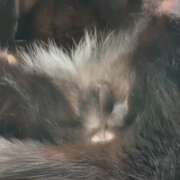 ヒメ日記 2026/04/14 10:13 投稿 かんな 水戸人妻花壇