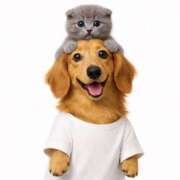 ヒメ日記 2026/04/14 20:09 投稿 かんな 水戸人妻花壇