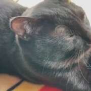 ヒメ日記 2026/04/15 10:13 投稿 かんな 水戸人妻花壇