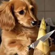 ヒメ日記 2026/04/17 15:45 投稿 かんな 水戸人妻花壇