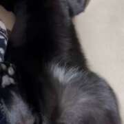 ヒメ日記 2026/04/18 08:02 投稿 かんな 水戸人妻花壇