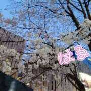 ヒメ日記 2025/03/26 23:06 投稿 このみ 池袋人妻ヒットパレード（シンデレラグループ）