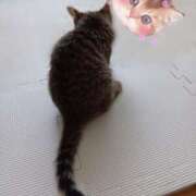 ヒメ日記 2025/07/16 20:30 投稿 このみ 池袋人妻ヒットパレード（シンデレラグループ）