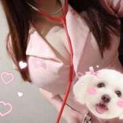 ヒメ日記 2025/12/19 12:21 投稿 このみ 池袋人妻ヒットパレード（シンデレラグループ）