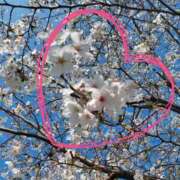 ヒメ日記 2026/03/29 16:13 投稿 このみ 池袋人妻ヒットパレード（シンデレラグループ）