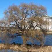 ヒメ日記 2025/02/09 13:49 投稿 かんざき 川崎・東横人妻城