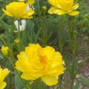 ヒメ日記 2025/04/09 23:03 投稿 かんざき 川崎・東横人妻城