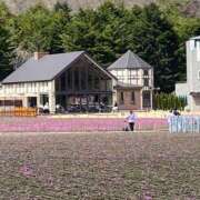 ヒメ日記 2025/04/16 15:48 投稿 かんざき 川崎・東横人妻城