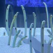 ヒメ日記 2025/05/03 00:33 投稿 かんざき 川崎・東横人妻城