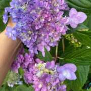 ヒメ日記 2025/05/29 08:48 投稿 かんざき 川崎・東横人妻城