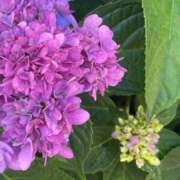 ヒメ日記 2025/06/07 09:42 投稿 かんざき 川崎・東横人妻城