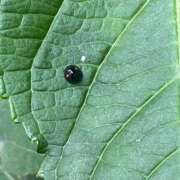 ヒメ日記 2025/06/14 06:33 投稿 かんざき 川崎・東横人妻城