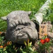 ヒメ日記 2025/07/05 12:07 投稿 かんざき 川崎・東横人妻城