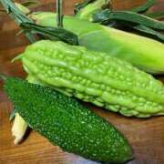 ヒメ日記 2025/07/16 21:31 投稿 かんざき 川崎・東横人妻城