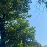 ヒメ日記 2025/08/24 14:27 投稿 かんざき 川崎・東横人妻城