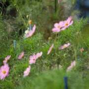 ヒメ日記 2025/11/18 17:51 投稿 かんざき 川崎・東横人妻城