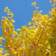 ヒメ日記 2025/12/01 07:41 投稿 かんざき 川崎・東横人妻城