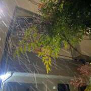 ヒメ日記 2026/01/03 04:41 投稿 かんざき 川崎・東横人妻城