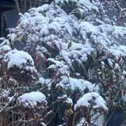 ヒメ日記 2026/02/08 07:10 投稿 かんざき 川崎・東横人妻城