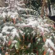 ヒメ日記 2026/02/08 09:42 投稿 かんざき 川崎・東横人妻城