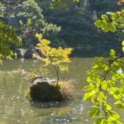 ヒメ日記 2026/03/15 19:09 投稿 かんざき 川崎・東横人妻城