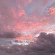 かんざき リフレッシュ＆⚾️ 川崎・東横人妻城