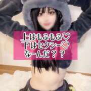 ヒメ日記 2025/01/29 12:04 投稿 ゆづき TOKYO BUNNYS CLUB