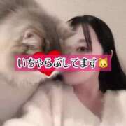 ヒメ日記 2025/03/10 12:23 投稿 ゆづき TOKYO BUNNYS CLUB