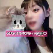 ヒメ日記 2025/03/28 12:23 投稿 ゆづき TOKYO BUNNYS CLUB
