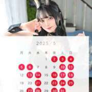 ヒメ日記 2025/04/19 12:05 投稿 ゆづき TOKYO BUNNYS CLUB