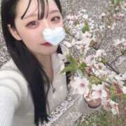 ヒメ日記 2025/04/27 07:13 投稿 ゆづき TOKYO BUNNYS CLUB