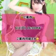 ヒメ日記 2025/06/01 08:43 投稿 ゆづき TOKYO BUNNYS CLUB