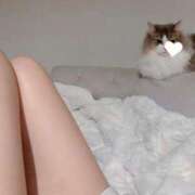 ヒメ日記 2025/07/26 06:13 投稿 ゆづき TOKYO BUNNYS CLUB