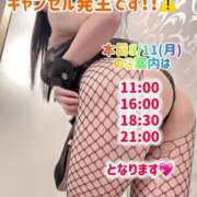 ヒメ日記 2025/08/11 09:05 投稿 ゆづき TOKYO BUNNYS CLUB