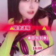 ヒメ日記 2025/09/03 13:23 投稿 ゆづき TOKYO BUNNYS CLUB