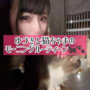 ヒメ日記 2025/10/04 06:13 投稿 ゆづき TOKYO BUNNYS CLUB